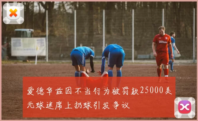 爱德华兹因不当行为被罚款25000美元球迷席上扔球引发争议